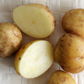 Pomme de terre nouvelle « sirtema »