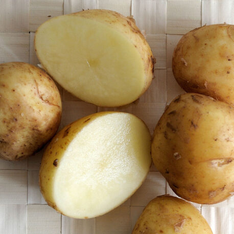 Pomme_de_terre_sirtema