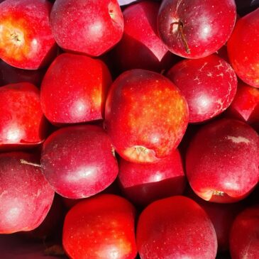 Pomme Story