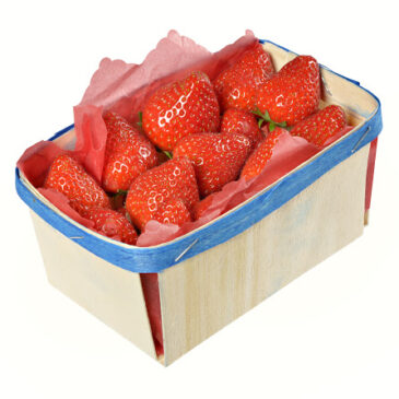 Fraise barquette 250 gr