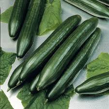 Concombre long