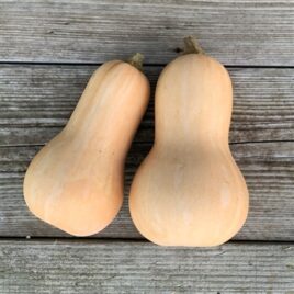 Courge butternut (la pièce)