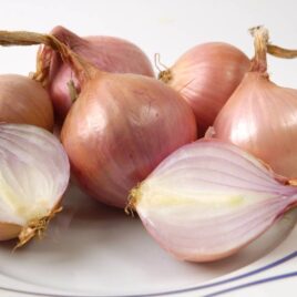 Oignon rosé