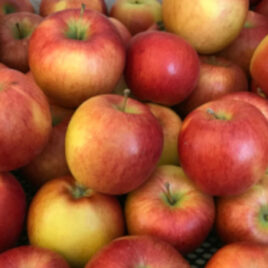 Pomme dalinette